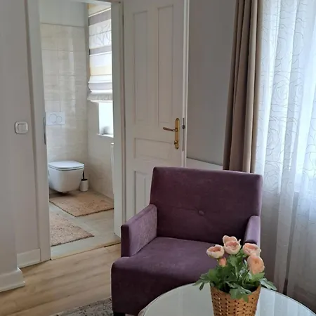 아파트 Bem Apartman, 코세그